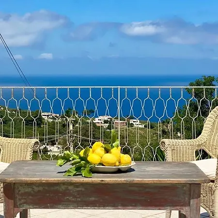 Casa Zagami マルファ