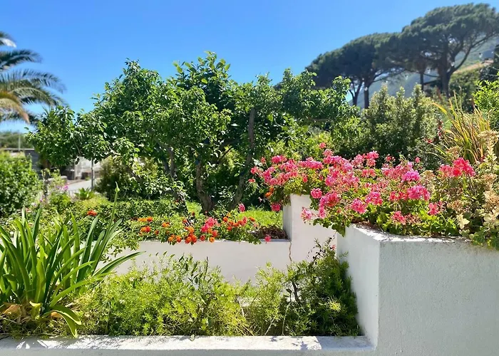 Casa Zagami * Malfa (Salina)